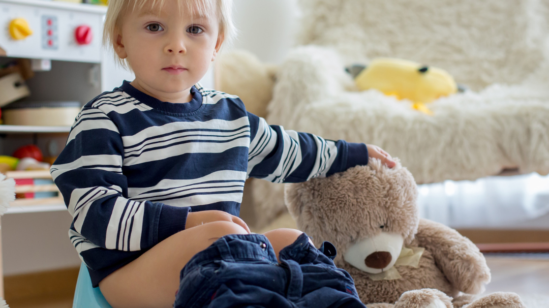 Potty Training Bed Pads
