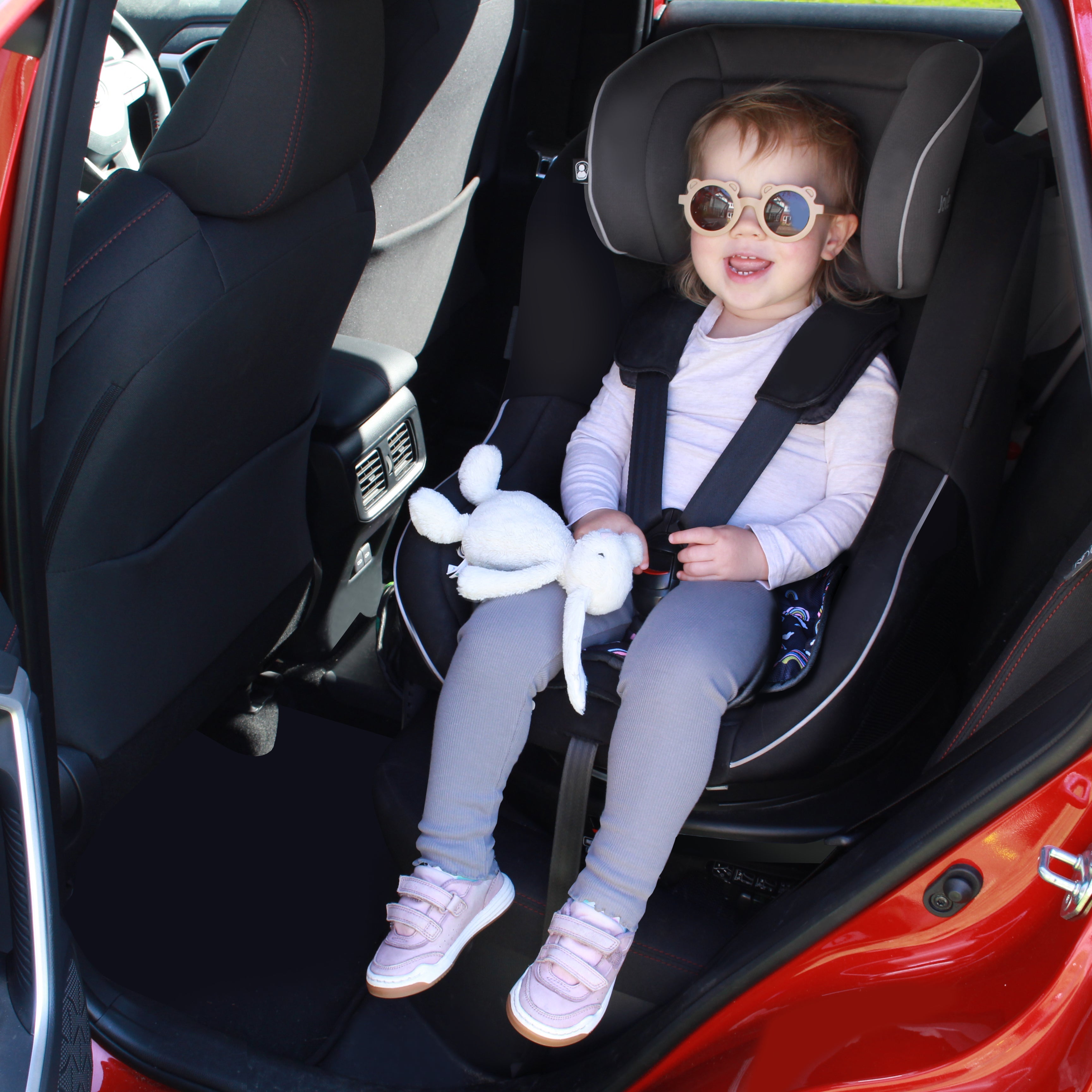 Car & Pushchair Protector