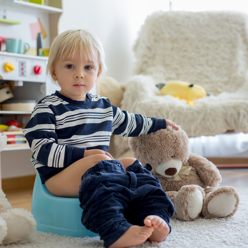 Potty Training Bed Pads