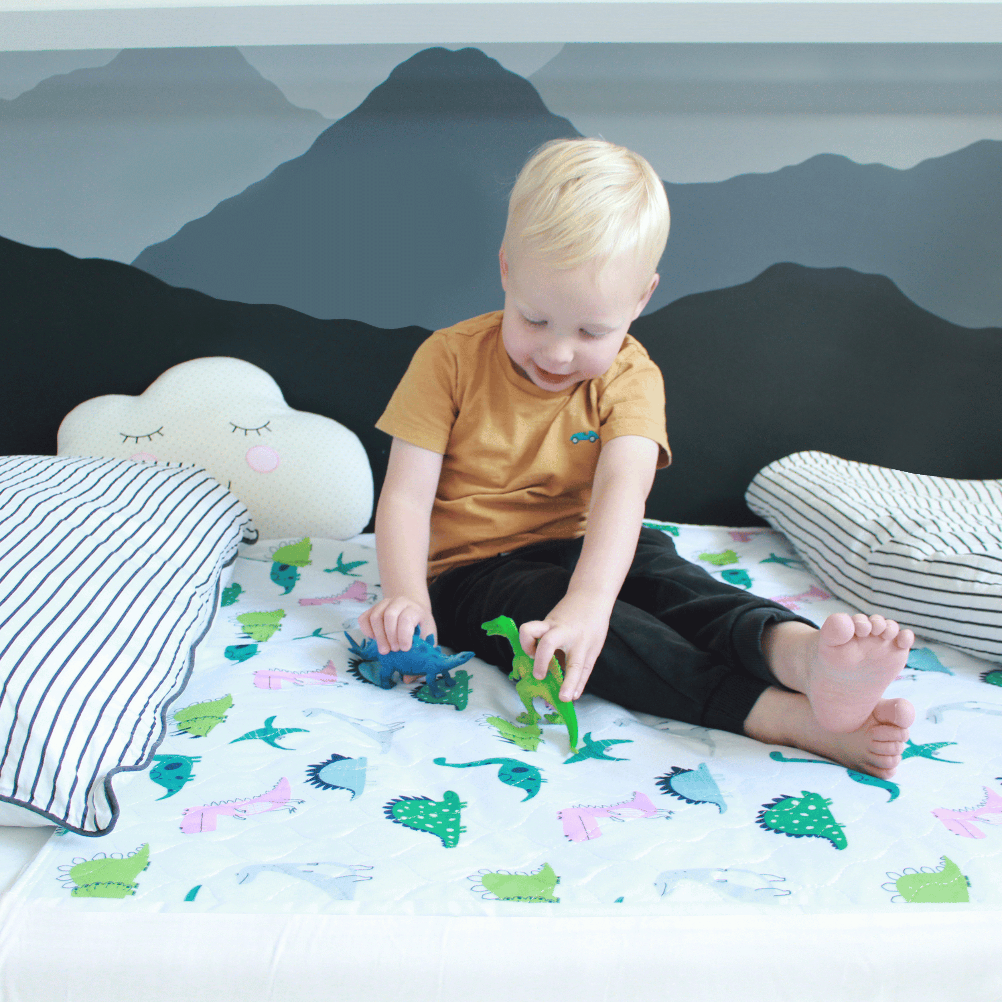 Night Time Toilet Training