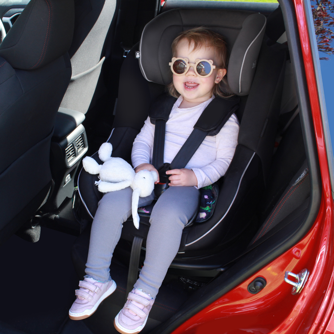 Car & Pushchair Protector